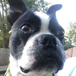 Meet your Posher, Paul